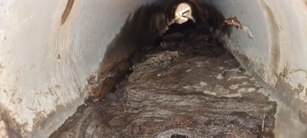 Sludge buildup inside concrete drainage pipe