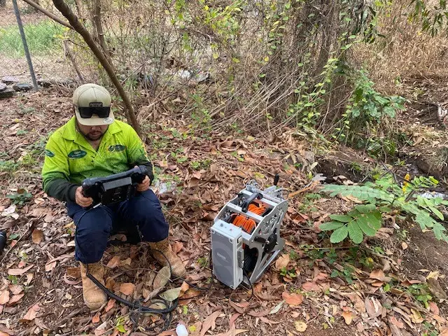 Worker operating remote device in bushland area